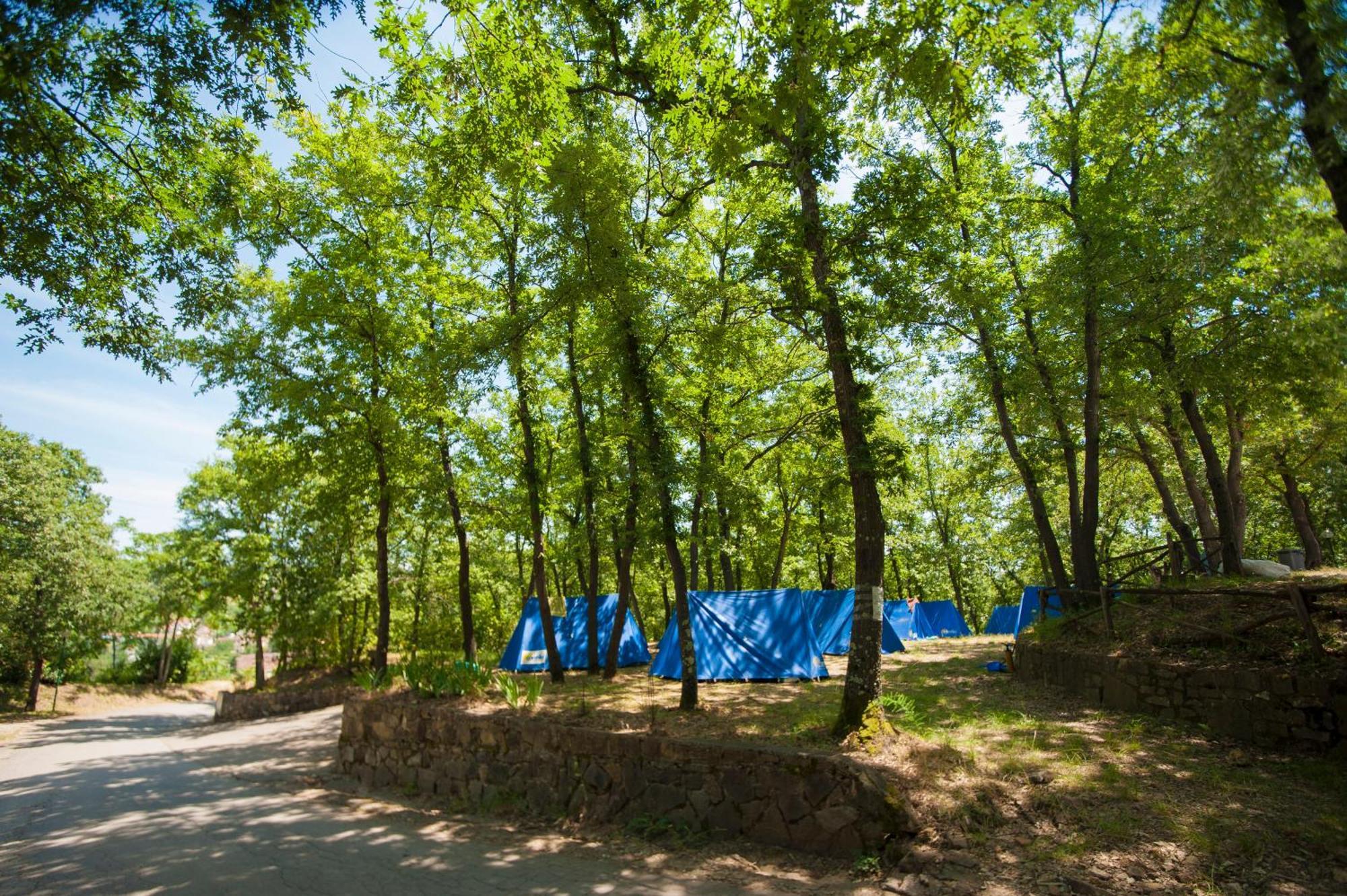 Hu Firenze Certosa Camping In Town インプルネータ エクステリア 写真